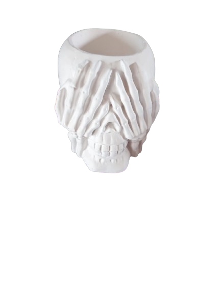See No Evil Skull Succulent Planter