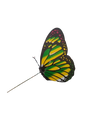 Plastic Butterfly On A Stick Decoration