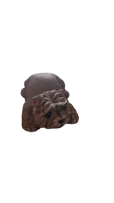 Cement Yorkie Ornament Painted (s14)