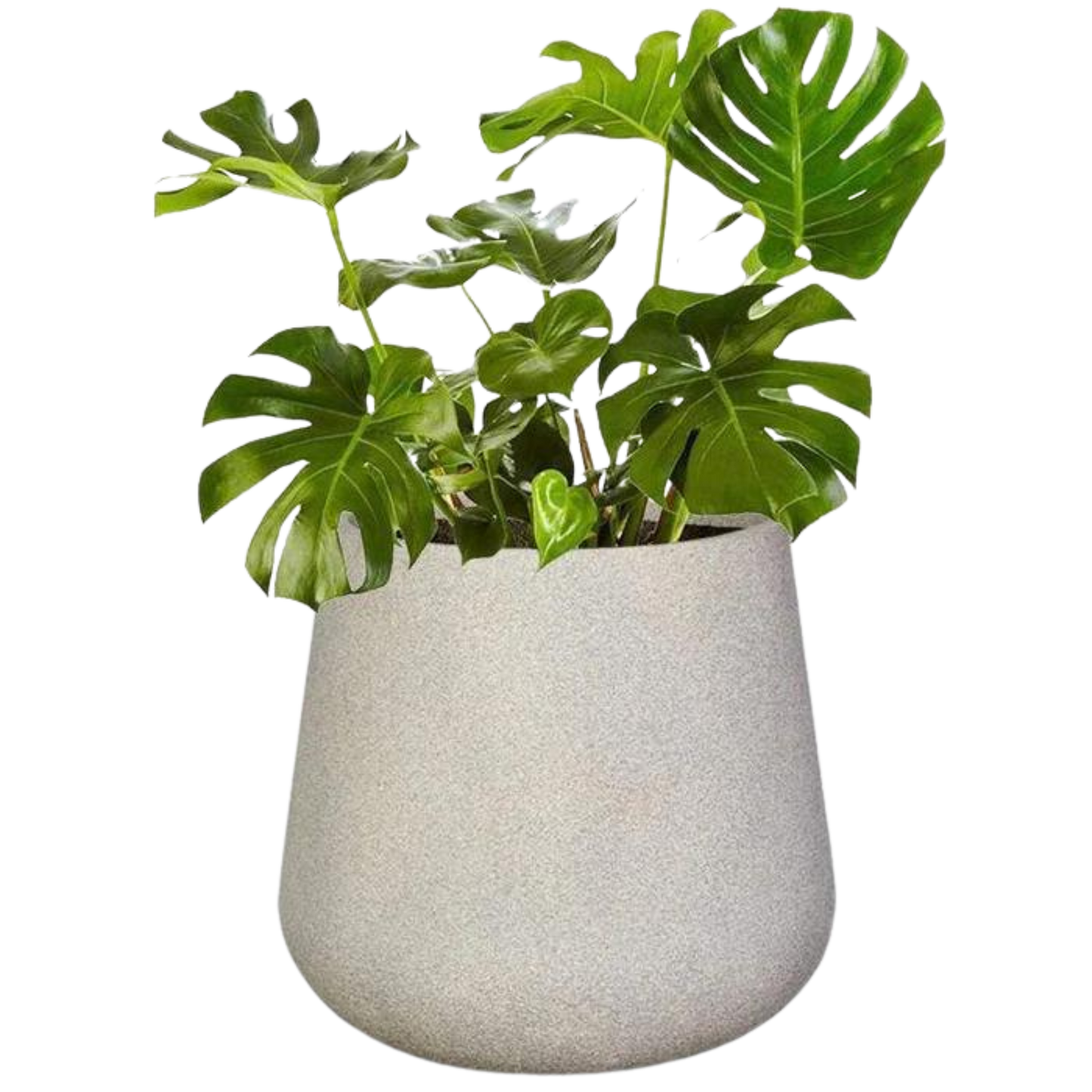 COLORADO PLANT POT - On Order