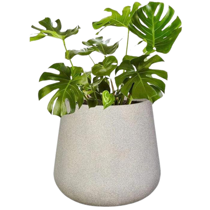 COLORADO PLANT POT - On Order