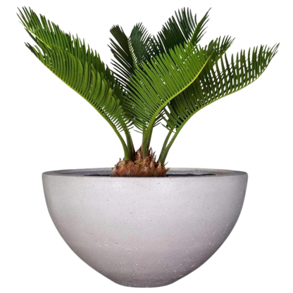 DELIA PLANT POT - On Order