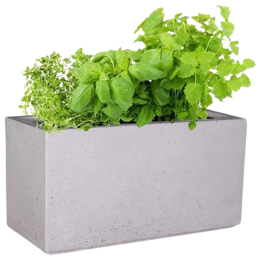 Chunky Trough Plant Pot - On Order