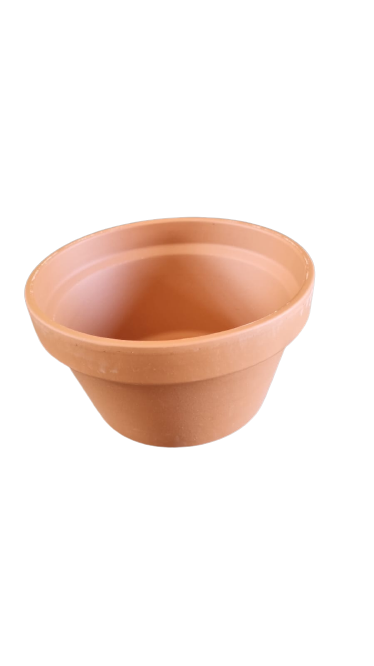 SP TC Culture Bowl various sizes