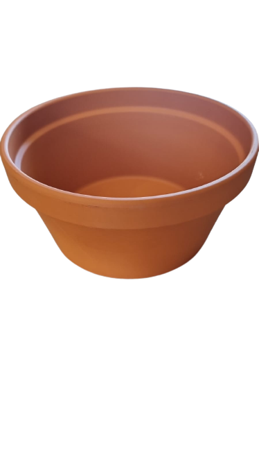 SP TC Culture Bowl various sizes