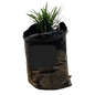 Ophiopogon Dwarf Mondo Grass - 1L