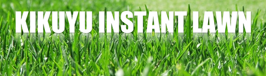 Kikuyu Instant Lawn/m²