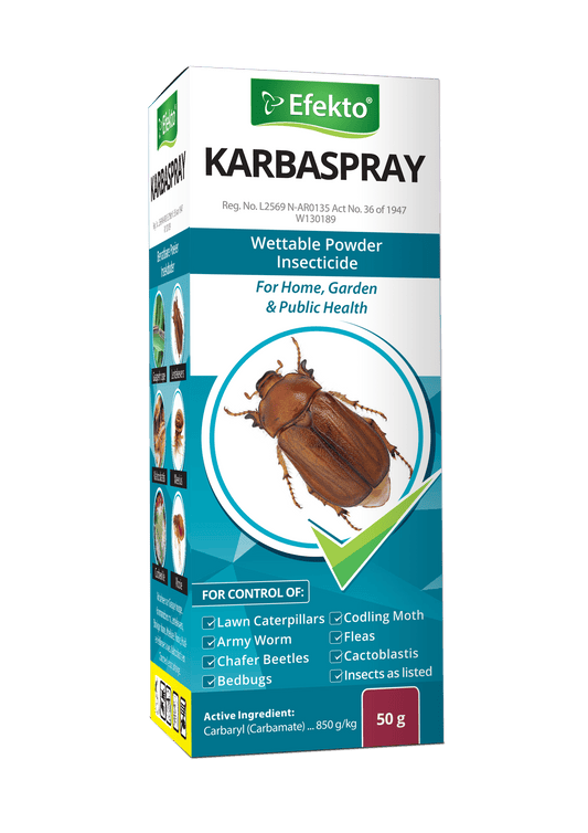 Efekto Karbaspray 50G