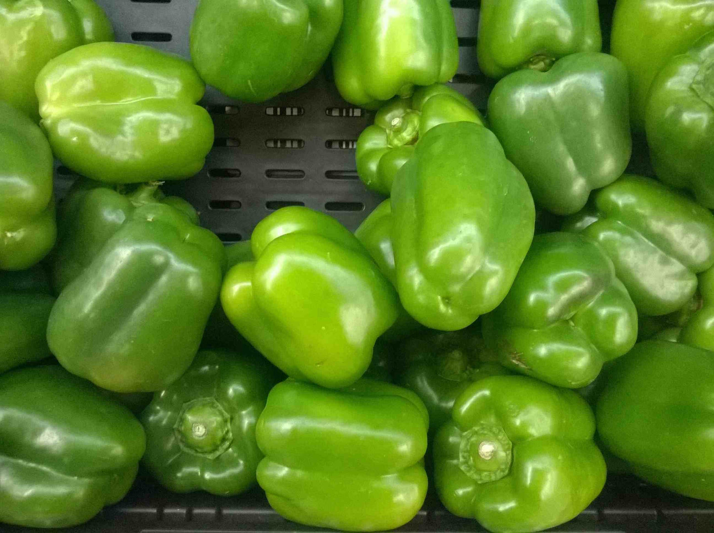 Sweet Green Pepper - 6 Pack Seedling Tray