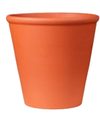 SP TC Rose Pot - Various Sizes