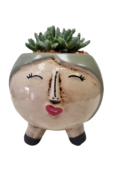 Ceramic Face Round Succulent - Assorted