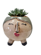 Ceramic Face Round Succulent - Assorted