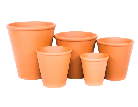 Rose Clay Pot - Various Sizes