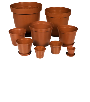 Terra cotta pots Various