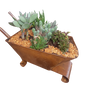 Tin Barrow Decorative Succulent