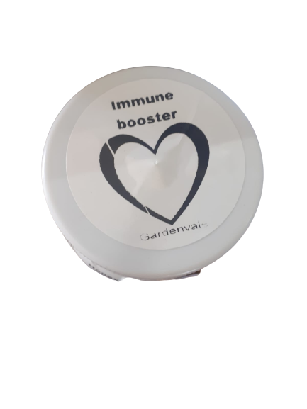 Immune Booster - Cinnamon, ginger, turmeric and organic honey
