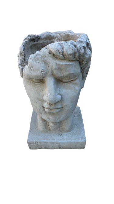 Cement Brutus Head Planter Ornament