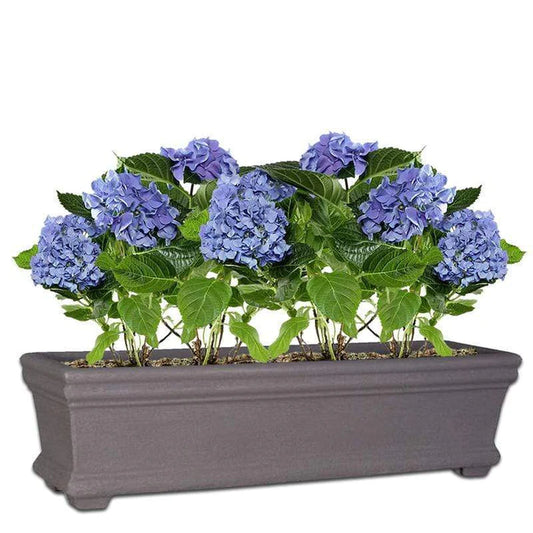 Clermont Trough Plant Pot - Velvet