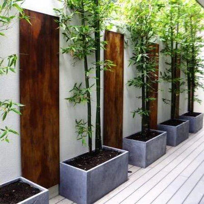 plant pots south africa Curo Trough Plant Pot – Gardenvale