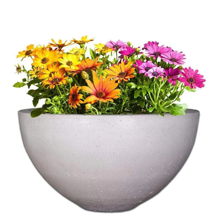 DELIA PLANT POT - On Order
