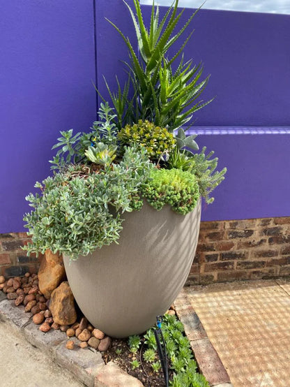 EGGIN PLANT POT - On Order