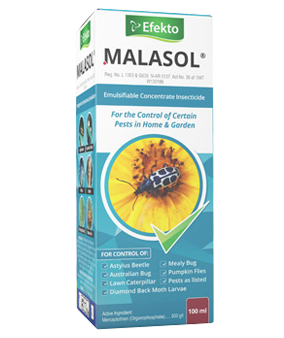 Efekto Malasol 100ML