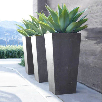 NEVADA PLANT POT - On Order