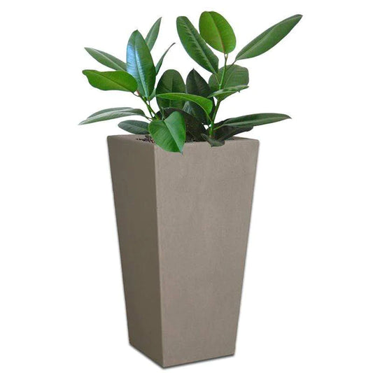 NEVADA PLANT POT - On Order