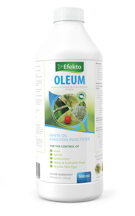 Efekto Oleum 500ML