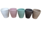 Pastel Pot Assorted - 6.5cm