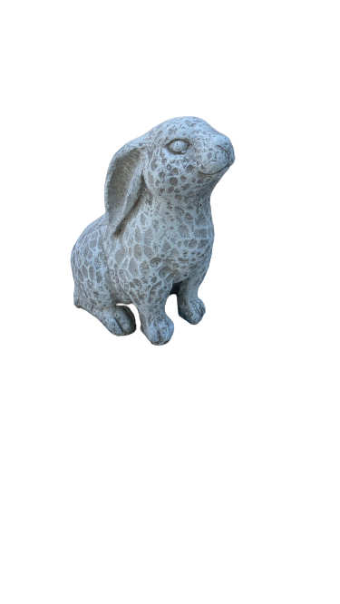 Cement Peter Rabbit Ornament(S25)