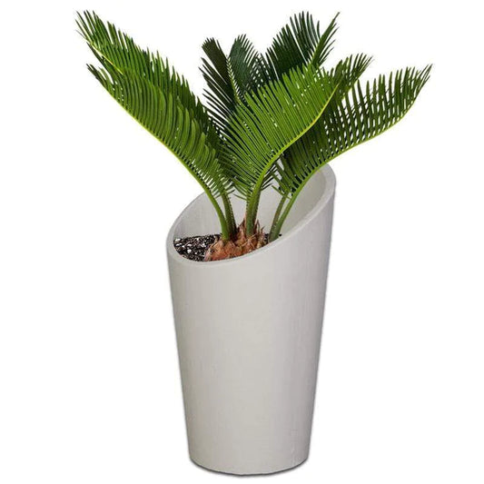 PROTEA PLANT POT - On Order